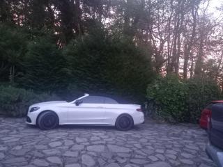B&B Le Camelie del Bosco - 2