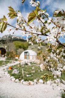 Ursa Camp Boutique Glamping - 6