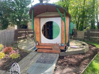 The Owl House - 7