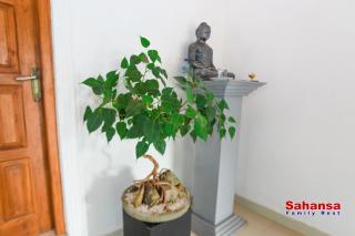 Sahansa Family Rest - 6