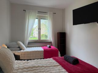 Workers & Family Homes Modern 2BR Apartment with Free Parking 10 min to Volvo - 3