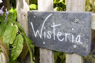 Wisteria - Swimming pool access - 6