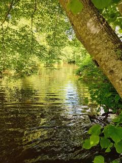 Carpfollies - 6