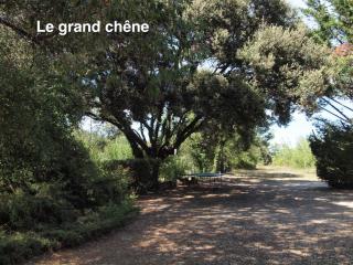 Les MAGNANS - 4