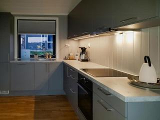 Holiday Home With Royal Ship Views In Hagefjord - 5