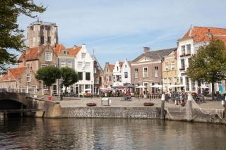 Luxe 6p vakantiehuis aan Strand & Grevelingenmeer! - 8