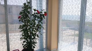 Hotel Marina - 8
