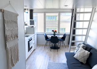 Cozy Studio Apartment in the Heart of City Centre - Kuopio - 0