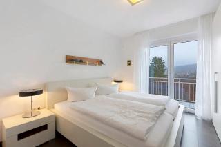Klimaanlage und Weitsicht zum Feldberg - Ferienwohnung Weinlese - 2