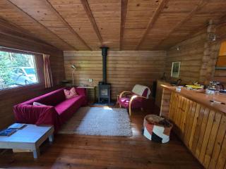 Finse Bungalow - 4