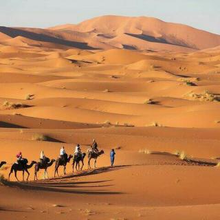 Merzouga Traditional Desert Camp - 1