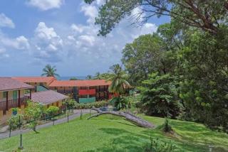 Studio charmant à Sainte-Anne avec vue sur la mer 23 m² - 4