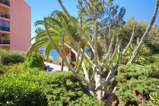 Studio vue mer et jardin à 10 min des plages - 3
