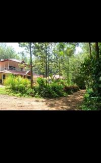 The Silverwood Homestay - 4