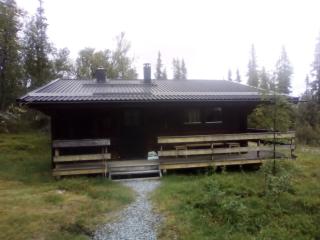 Fjällkällan - 1