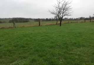 House - Sleeps 14 - Free Parking - 8