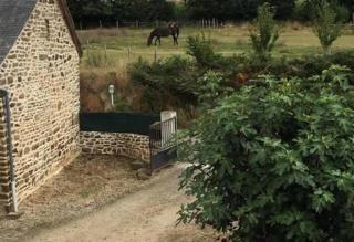 House - Sleeps 14 - Free Parking - 3