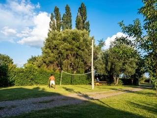 Cabañas familiares - Pileta, juegos y parque - 2