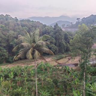 Goldenghat farm and Spices - 3