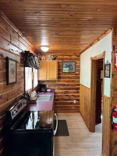 Deluxe Cabin #20 with Hot Tub on Patoka Lake in Southern Indiana - 1