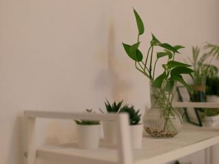 Chuncheon Dodostay - Chuncheon - 8