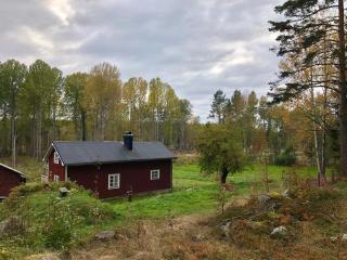 House in the forest, Sweden Hälsingland - 7