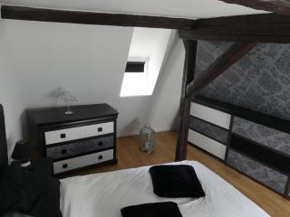 Appart chaleureux - Colmar - 7