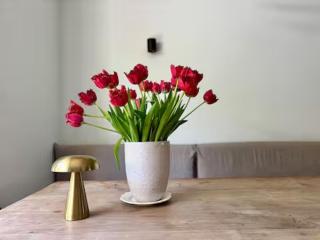 Lovely spacious family canal house in Amsterdam - 2