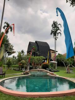 Ubud Hidden Villa Yone village - Ubud - 1