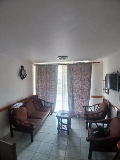 Departamento amoblado - 0