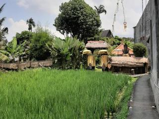 Ubud Hidden Villa Yone village - Ubud - 7