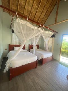 Chui Safari Camp - 2