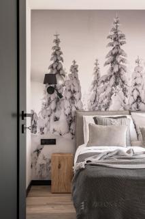 ZIELONA 55 Apartamenty BASEN & SAUNA & PARKING - 1