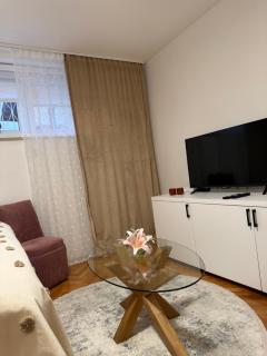 Cozy & Quiet Apartment Sarajevo - Saraievo - 5