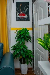executive home - 1