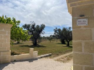 Villa Mina - 9
