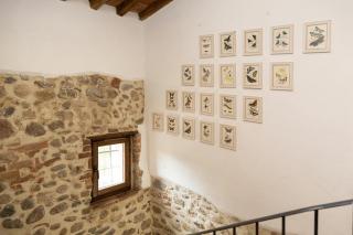 Mulino di Pari - Where Time Slows - 3