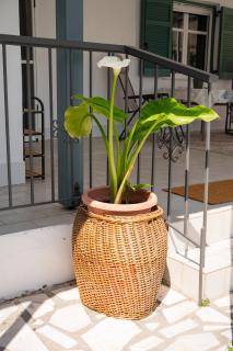 Hidden Garden House - 4