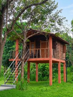 Tree House Cabana Sigiriya - 4