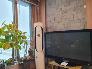 Yeoncheon Jjongi and Mary Pet Friendly Pension - 4