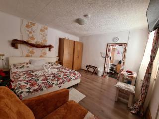 Casa Farcaș Bușteni - Buşteni - 9