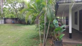 Tropical Lodge Yala - 2