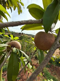 Saanjh Nature Retreat - 1