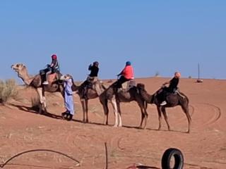 Desert Camel Trek - 7