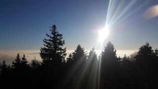 Cafe & Pension Carmen - 4