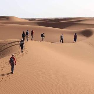 Desert Camel Trek - 3