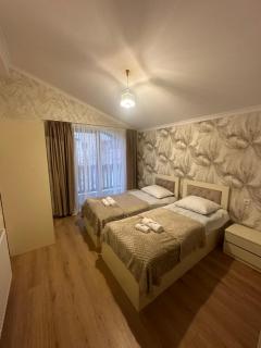 Elite Cottages Bakuriani - 6