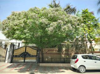 Kanwar Homestay - 7