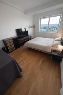 Spacious apartment in Geneva - 1