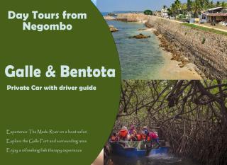 Tropical Suites - Airport Transit Residence - Negombo - 4
